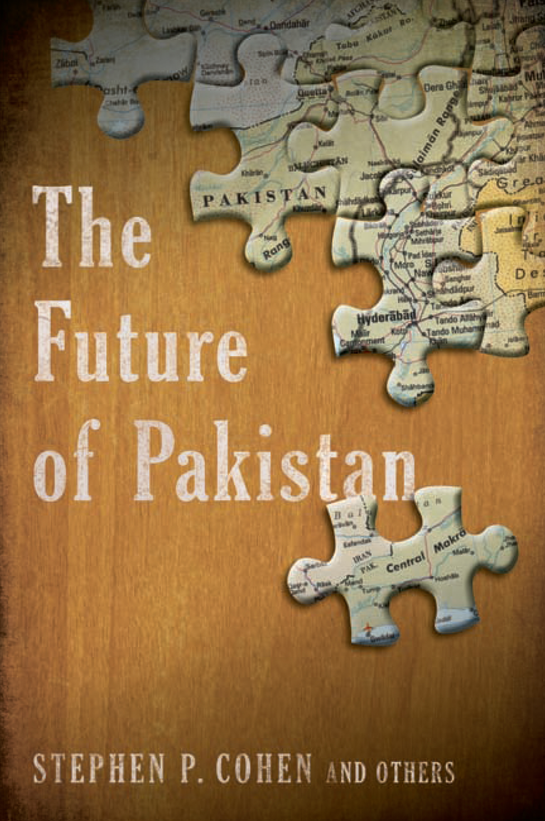 FUTURE OF PAKISTAN IN 2025 visual data 4