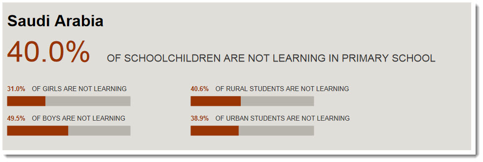 saudiarabia_learningbarometer