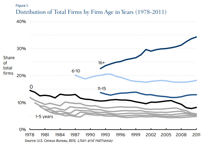 distribution_firms_age