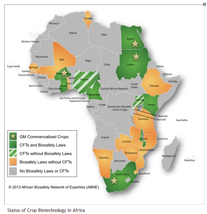 gmo map