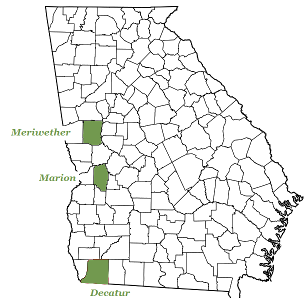 GA_counties