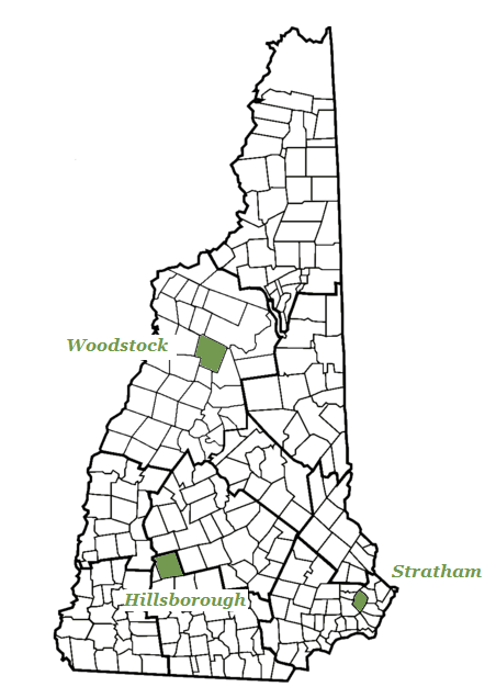 NH_counties