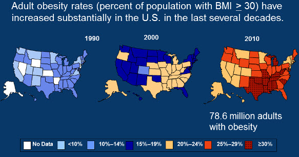 obesity map