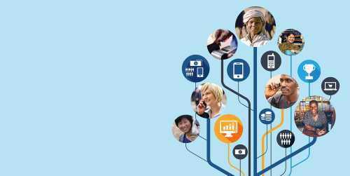 2015 FDIP report cover