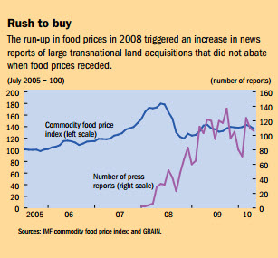 rush to buy