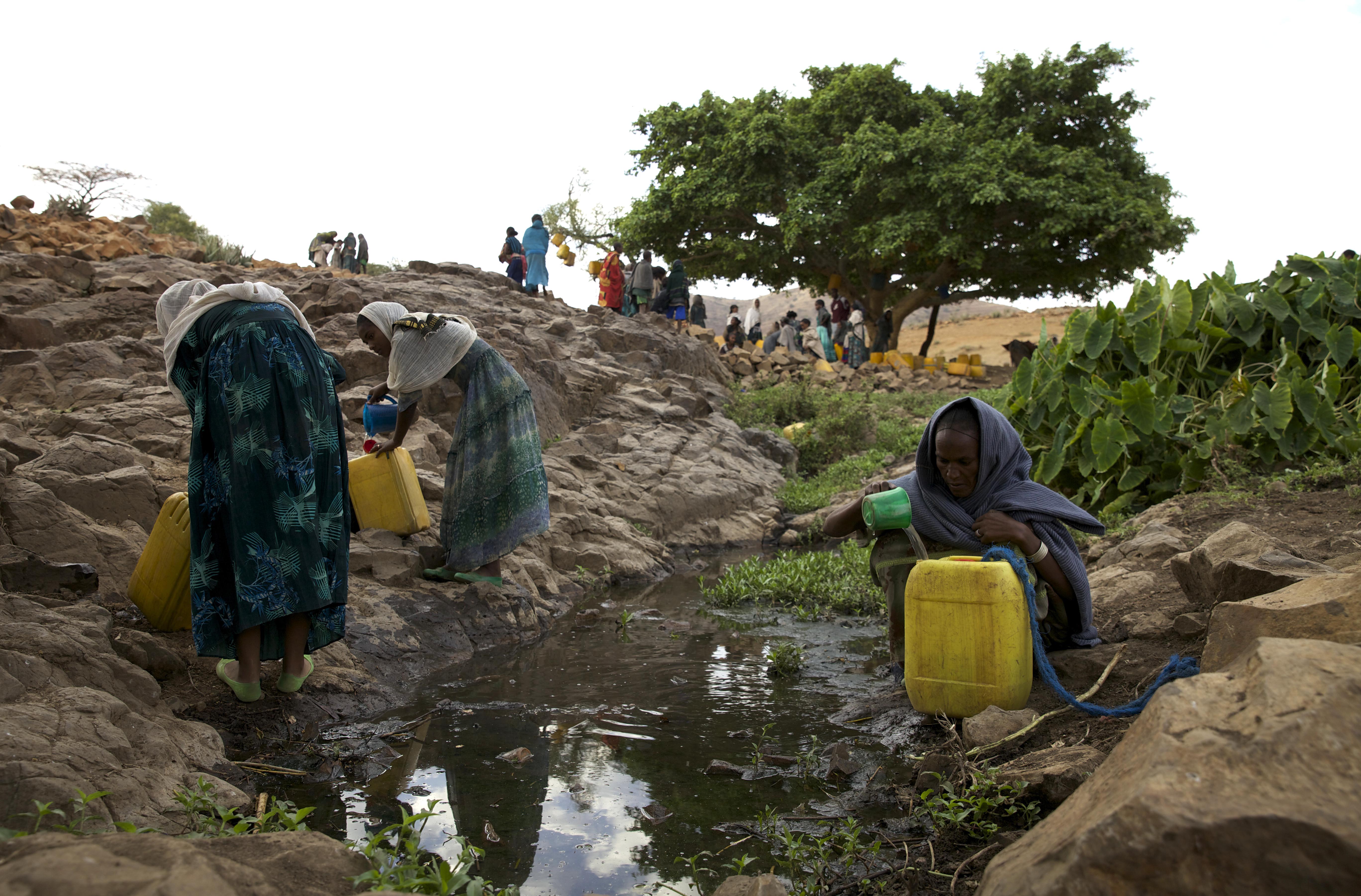 Отсутствие питьевой воды. Дефицит пресной воды. Экологическая ситуация в Эфиопии.