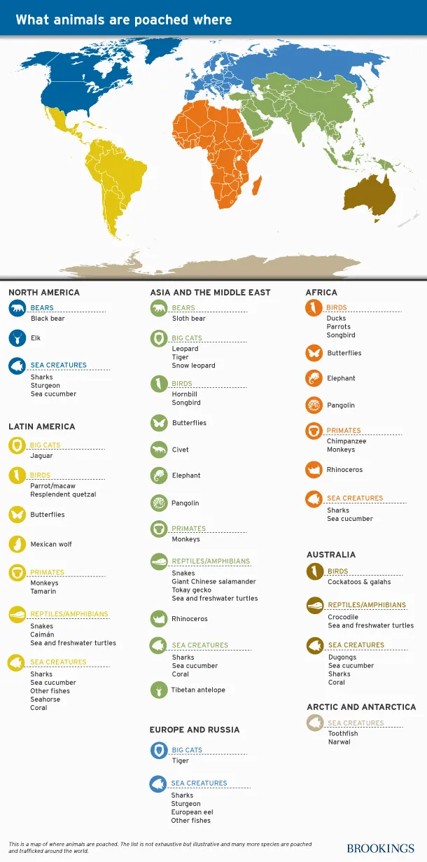 what_animals_are_poached_where_updated