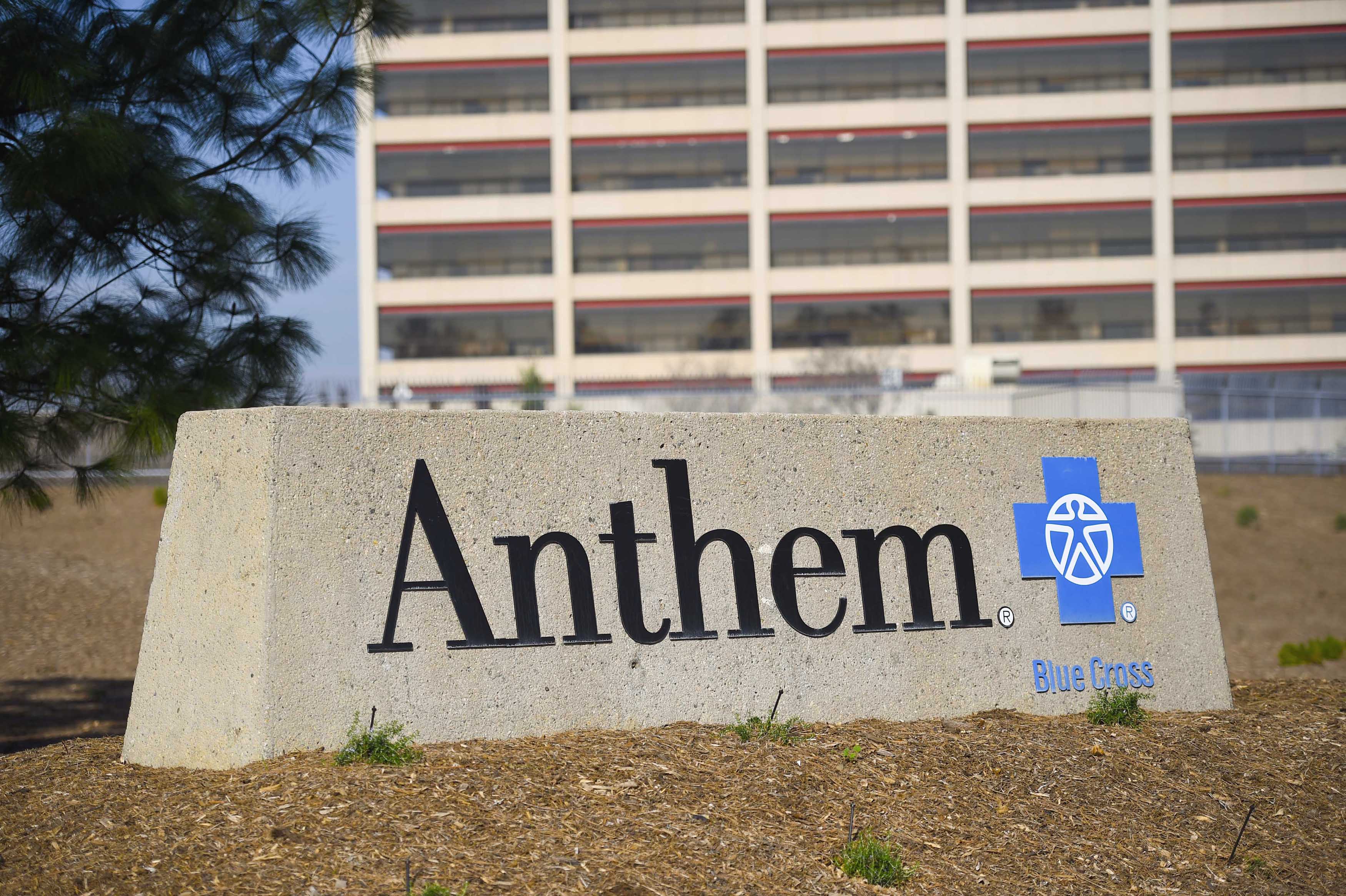 anthem data breach case study