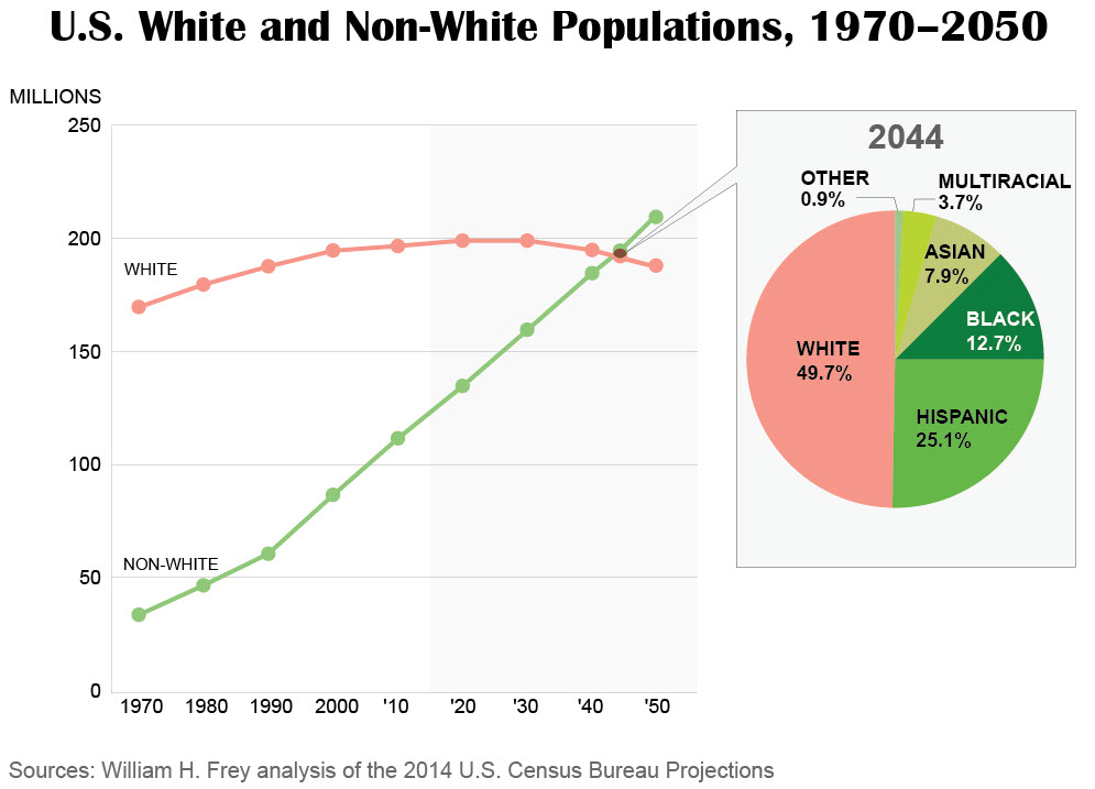 bradleyTBE_1white_nonwhite_populations