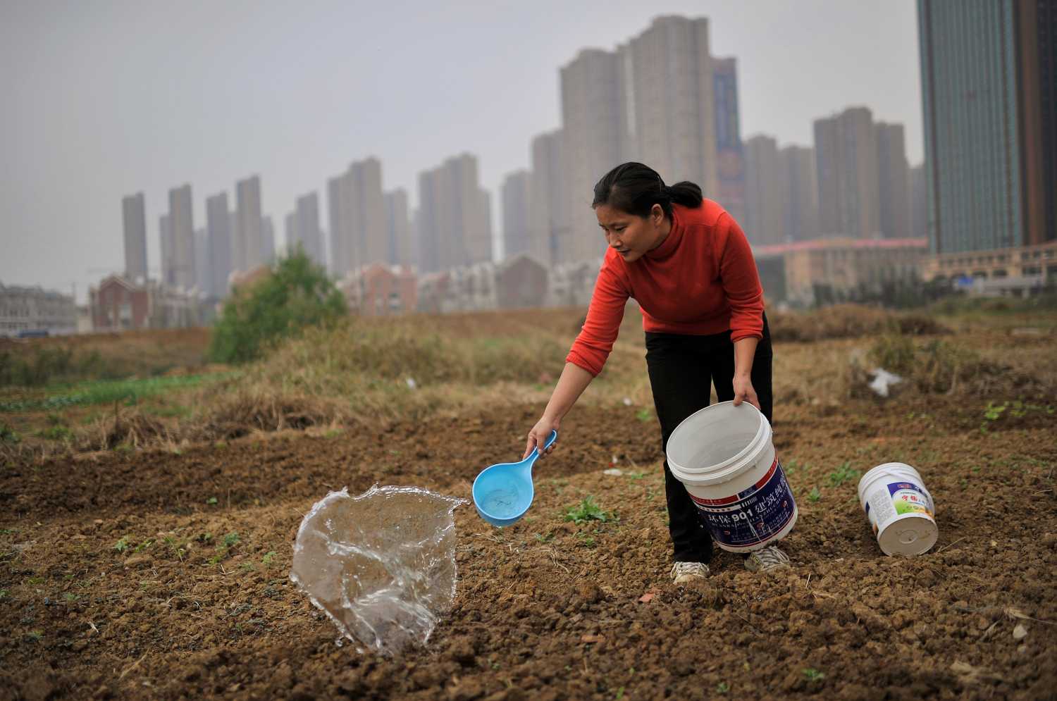 woman planting seeds