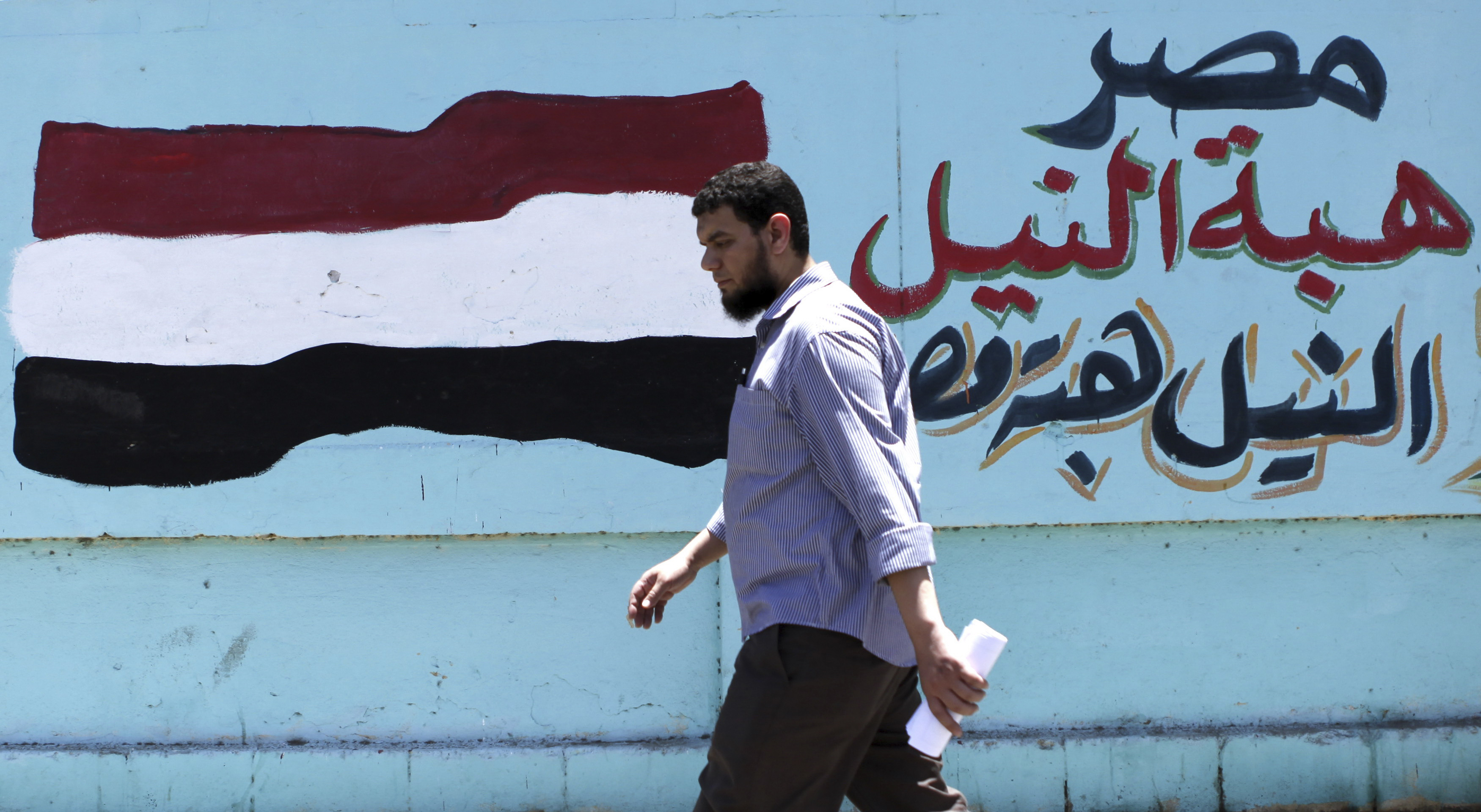 The Future of Egypt’s Nongovernmental Organizations and Civil Society ...