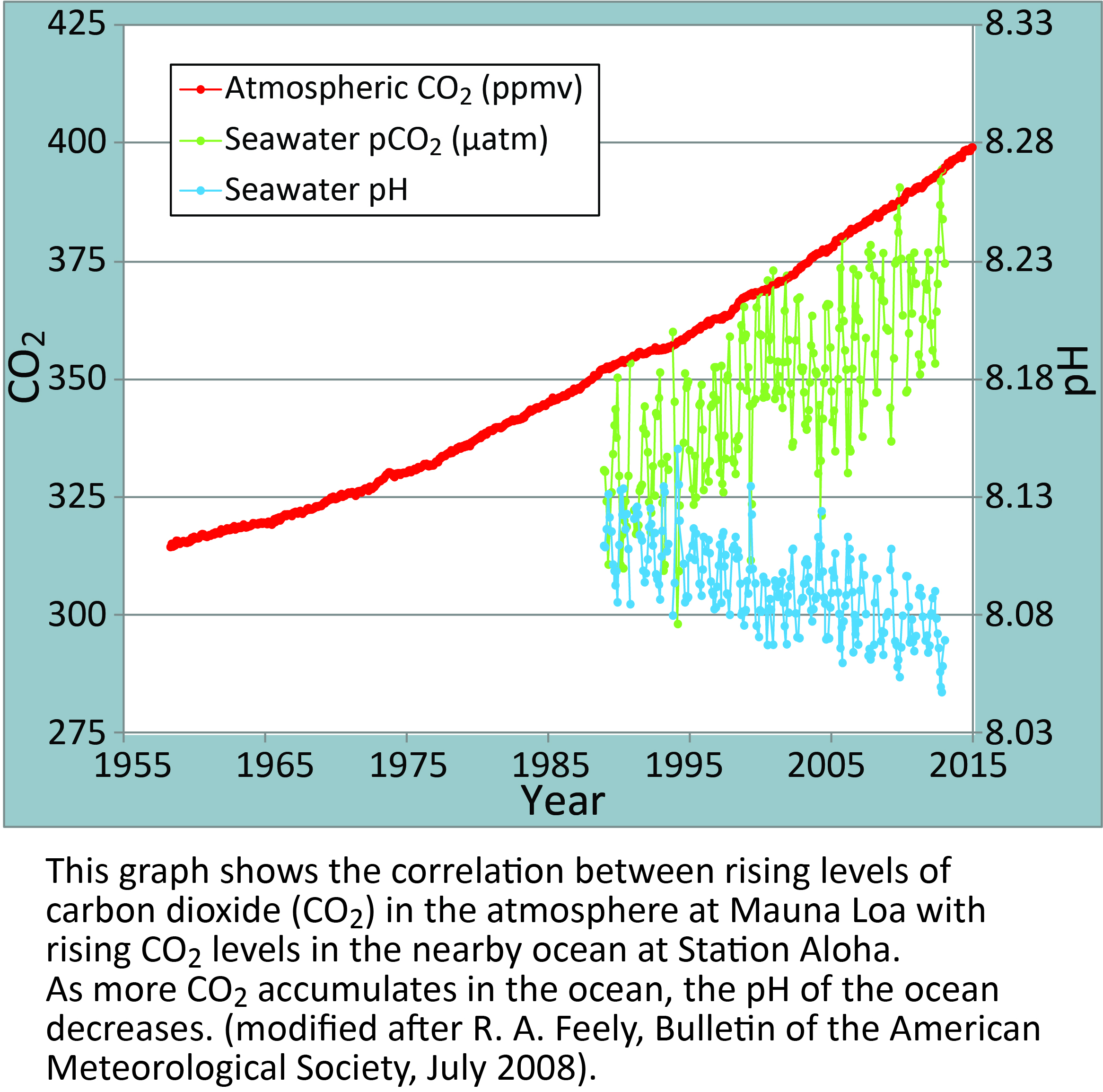 oceans day blog chart