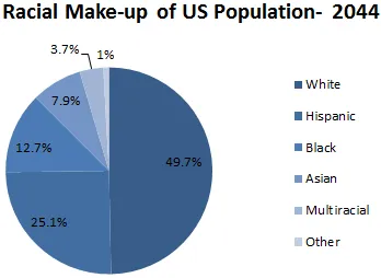 Us Demographics By Race Pie Chart