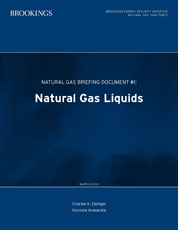 Natural Gas Briefing 1 cover image