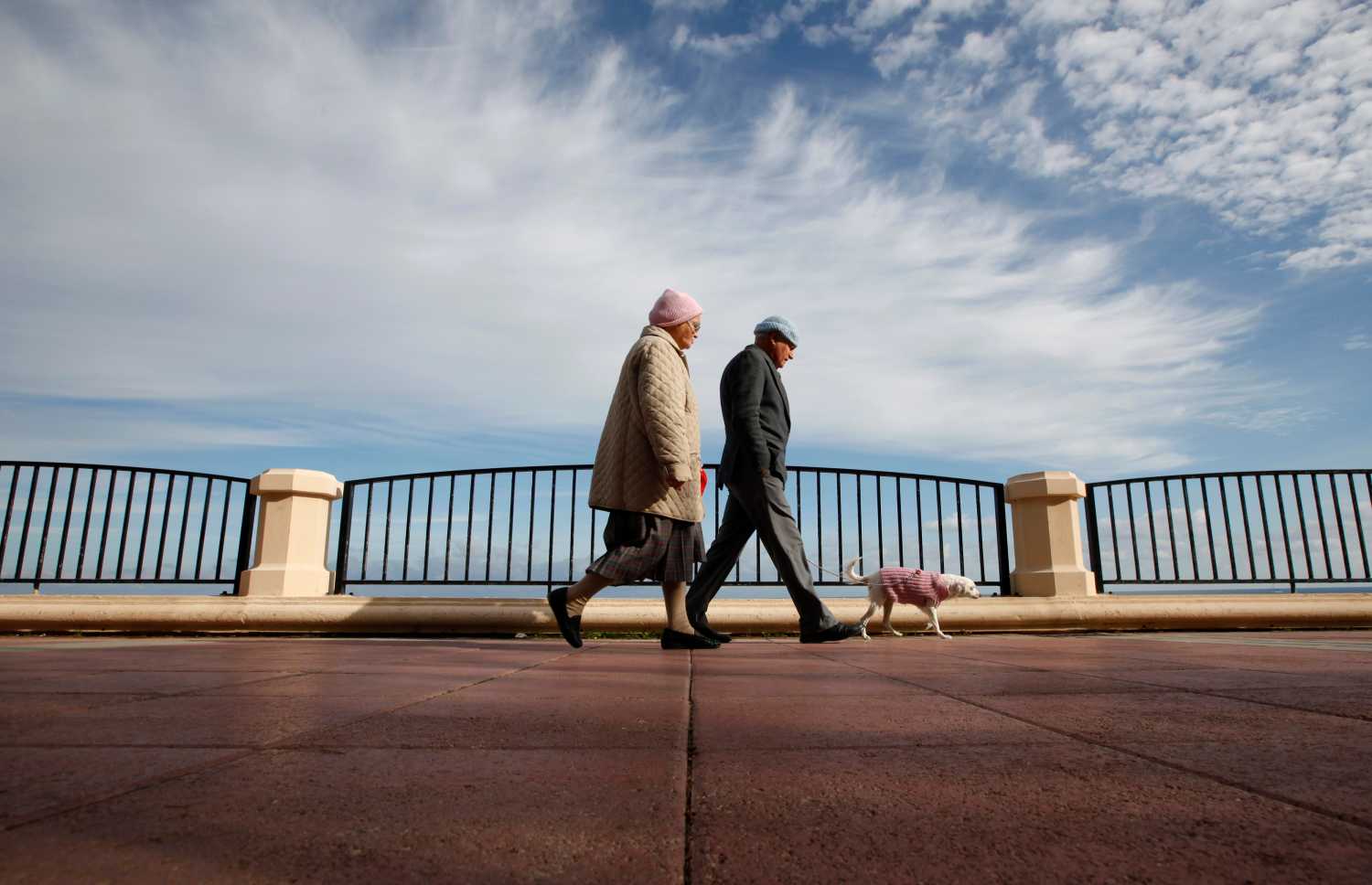 Elderly couple walking their dog