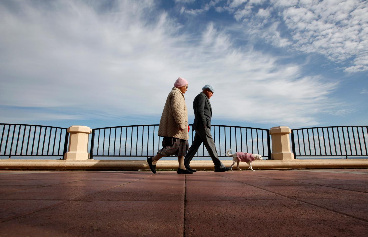 Elderly couple walking their dog