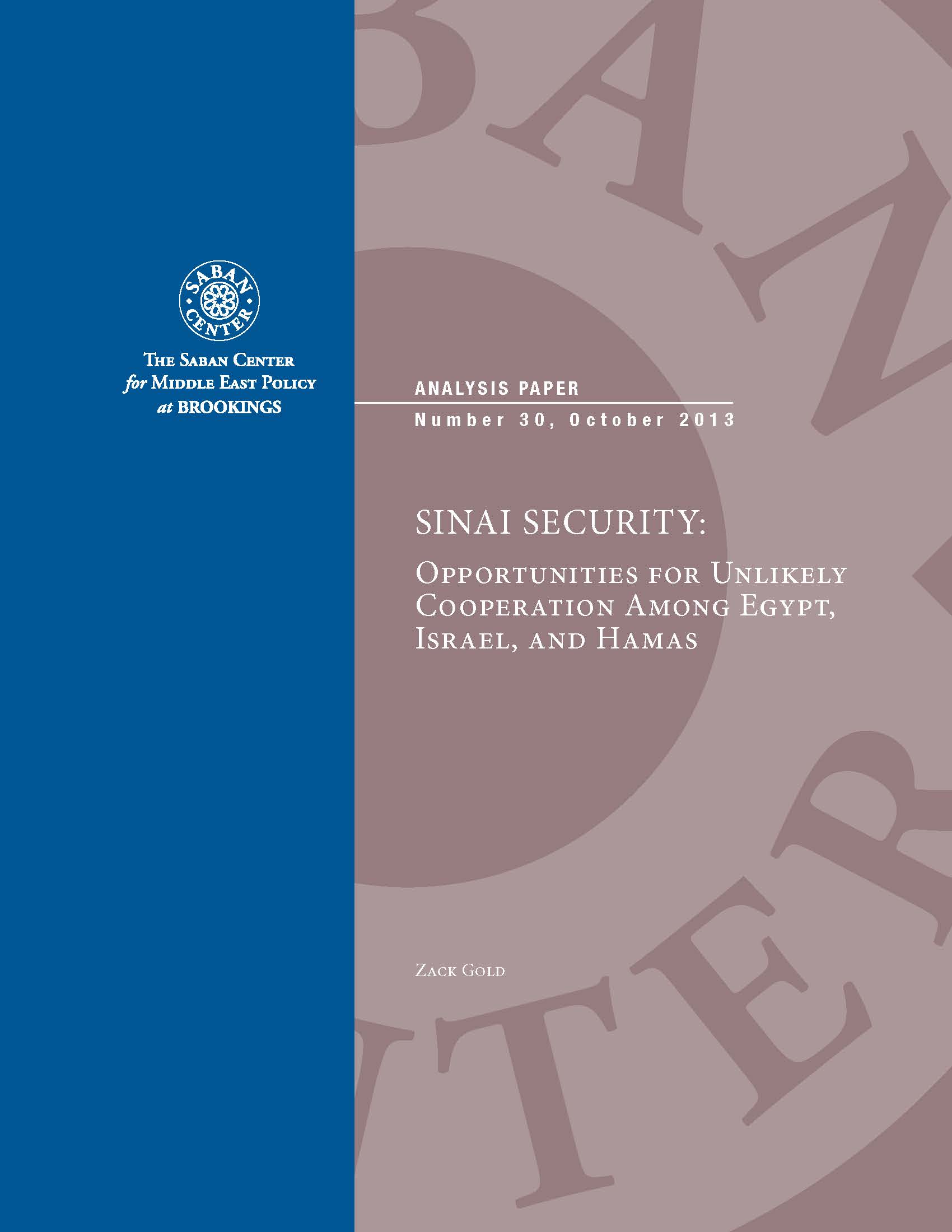 Sinai Security web 1