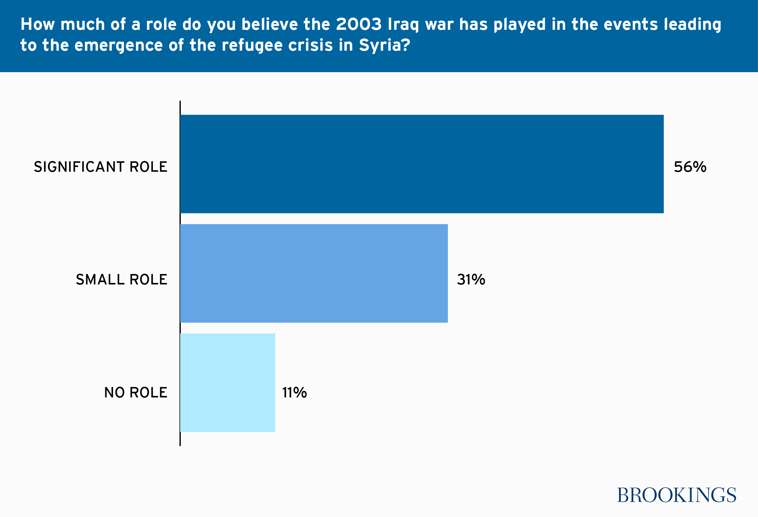 iraq_war_role