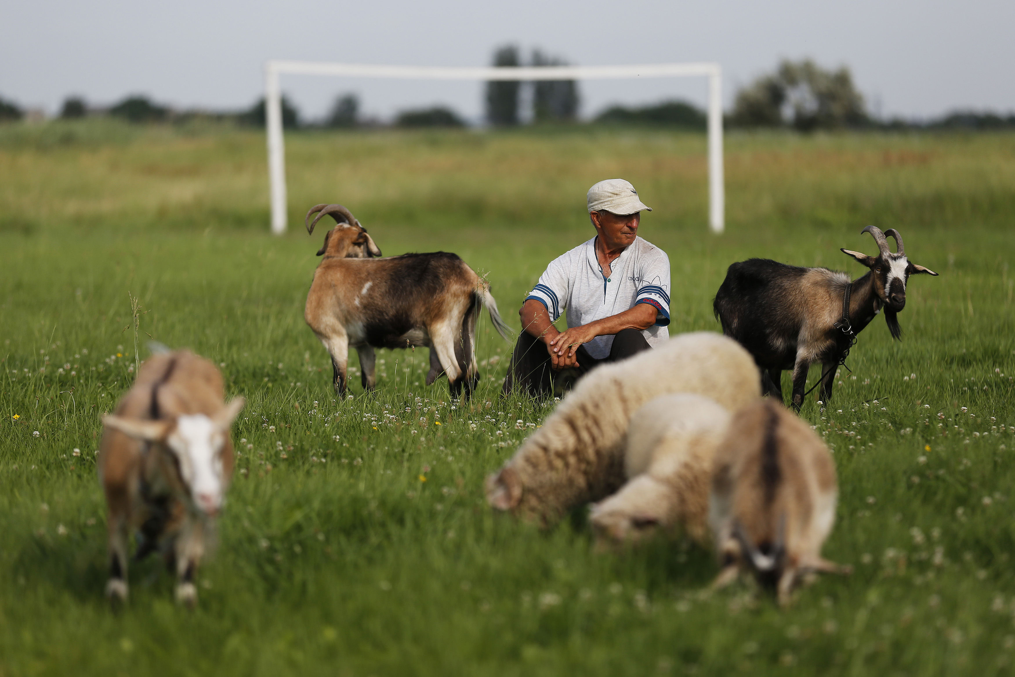 Unleashing the potential of agriculture in Ukraine Brookings