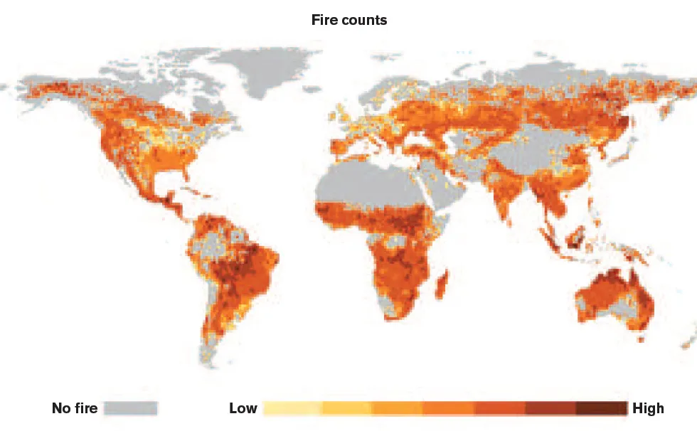 wildfires_graph3