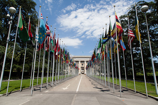 Flags in Geneva