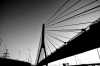 bridge image