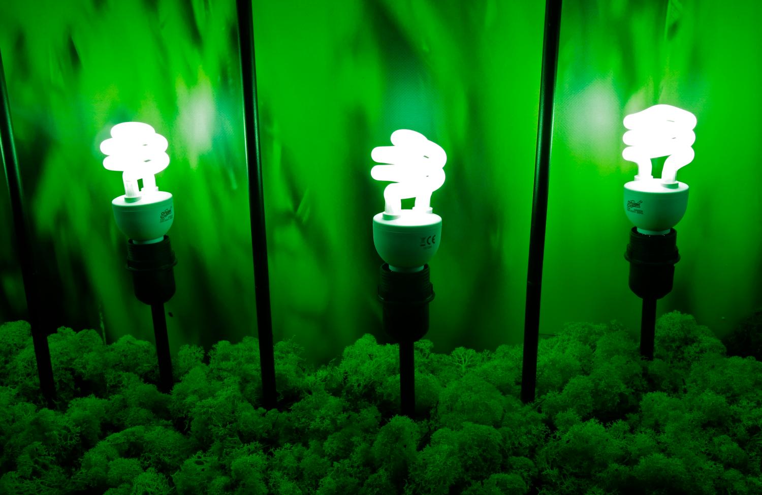 Green low-carbon electrical lights are displayed at the World Climate Change Conference 2015 (COP21) in Le Bourget, near Paris, France, December 2, 2015. REUTERS/Jacky Naegelen
