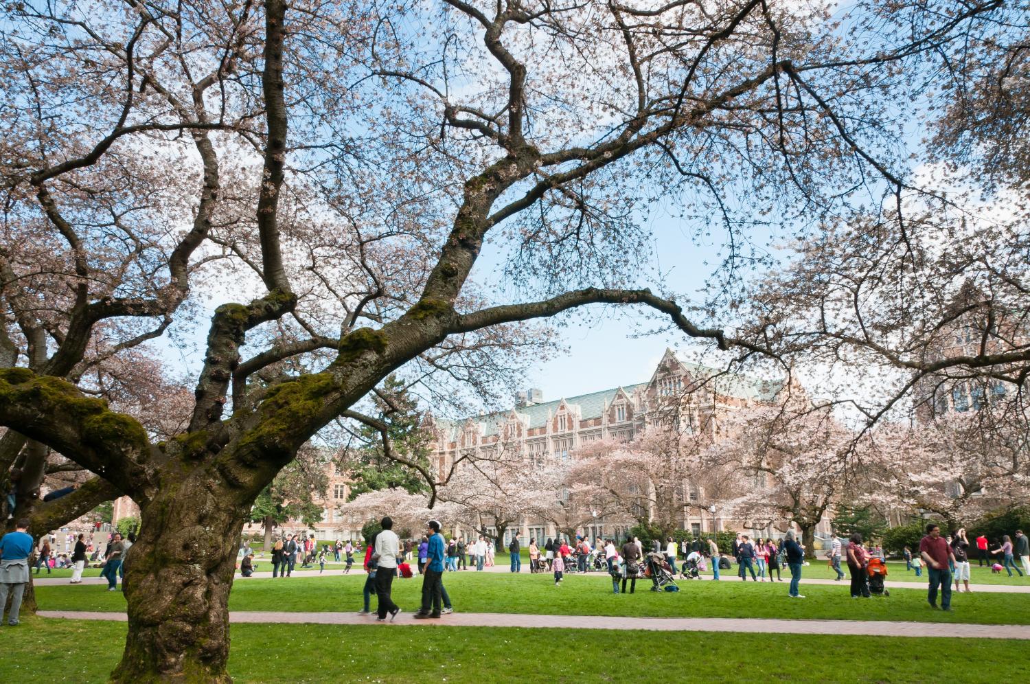 Students on college campus