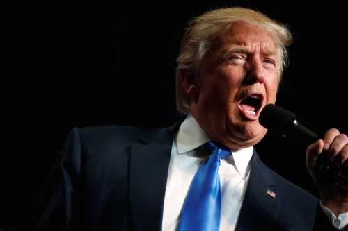 Republican presidential nominee Donald Trump holds a campaign rally in Green Bay, Wisconsin, U.S. October 17, 2016. REUTERS/Jonathan Ernst - RTX2P8T1