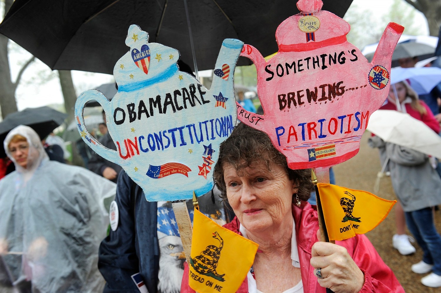 People hold signs at a Tea Party Patriots rally calling for the repeal of the 2010 healthcare law championed by President Barack Obama, on Capitol Hill in Washington, March 24, 2012. The Supreme Court will hear arguments next Monday to Wednesday over the fate of Obama's healthcare law, a battle with legal, political and financial implications for the U.S. healthcare system's biggest overhaul in nearly 50 years. REUTERS/Jonathan Ernst (UNITED STATES - Tags: POLITICS HEALTH CIVIL UNREST) - RTR2ZTA0