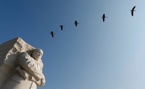 Geese fly over the Martin Luther King Jr. Memorial in Washington