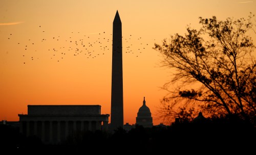 Birds are silhouetted as they fly over the Lincoln Memorial.