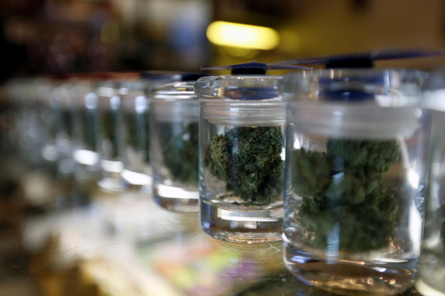 A variety of medicinal marijuana buds in jars are pictured at Los Angeles Patients & Caregivers Group dispensary in West Hollywood, California U.S., October 18, 2016. Picture taken October 18, 2016. REUTERS/Mario Anzuoni - RTX2R4MU