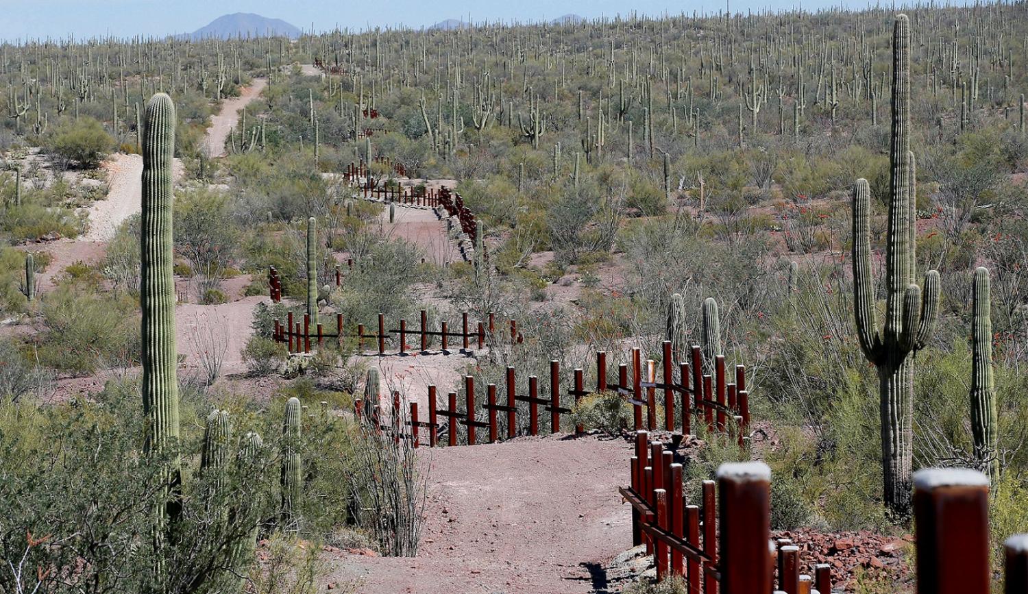 The vehicle barrier on the U.S.- Mexico border weaves around Saguaro cactus in the Sonoran desert on the Tohono O'odham reservation in Chukut Kuk, Arizona April 6, 2017. Picture taken April 6, 2017. REUTERS/Rick Wilking TPX IMAGES OF THE DAY - RTX358UC
