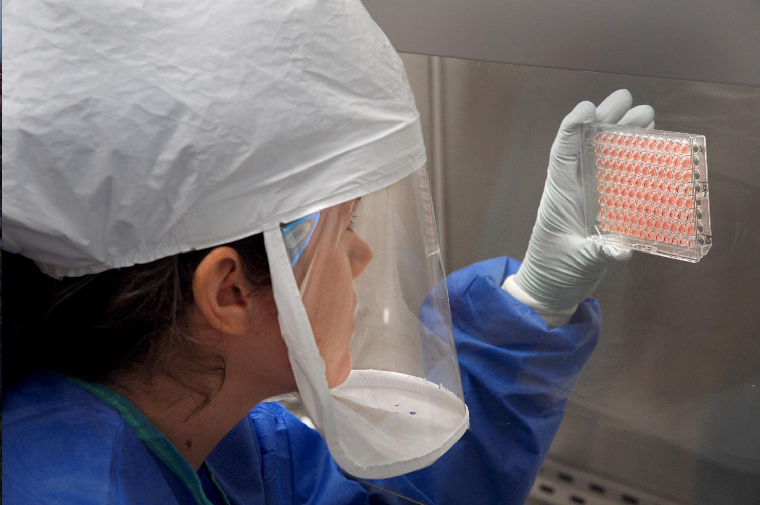 A CDC scientist measuring the avian flu virus
