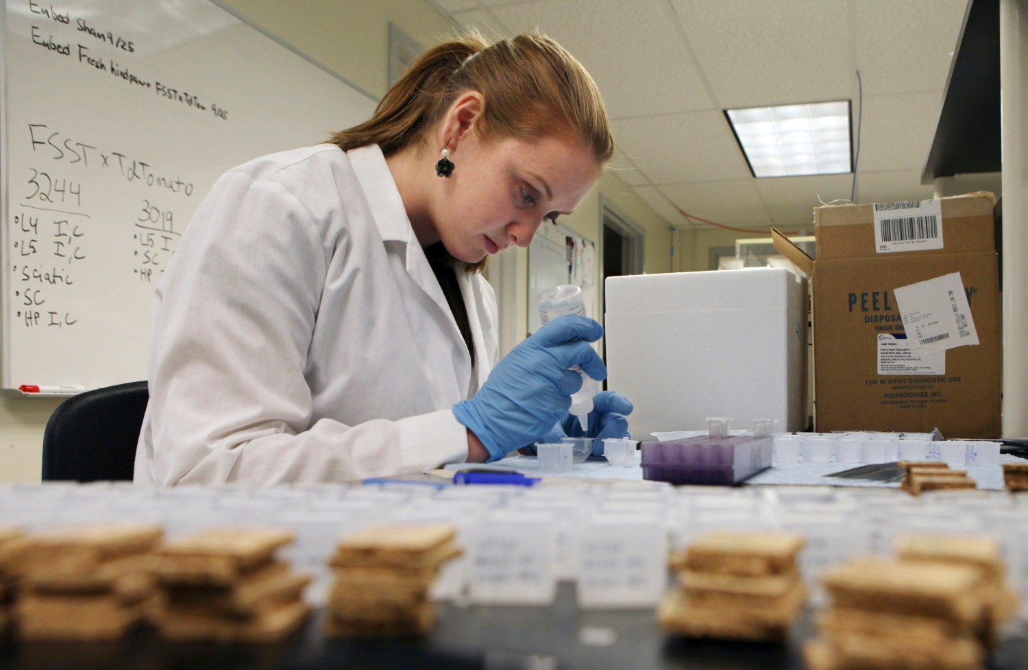 University of New England biomedical research lab manager Brittany Roy works in Ian Meng's laboratory in Biddeford