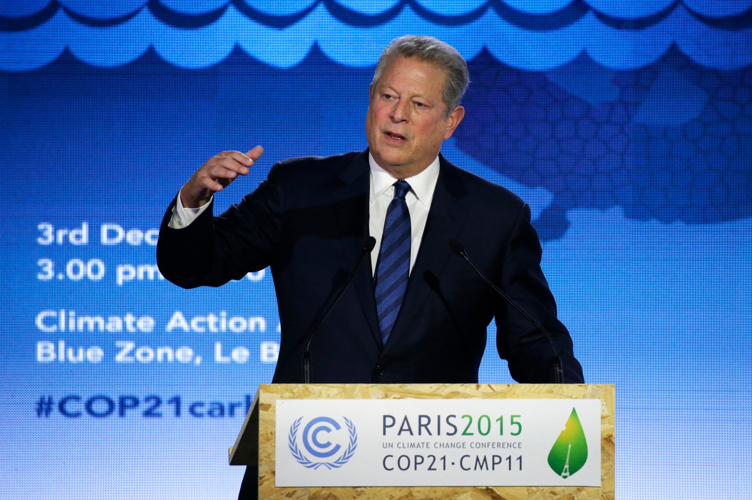 FILE PHOTO - Al Gore delivers a speech at the World Climate Change Conference 2015 (COP21) in Le Bourget