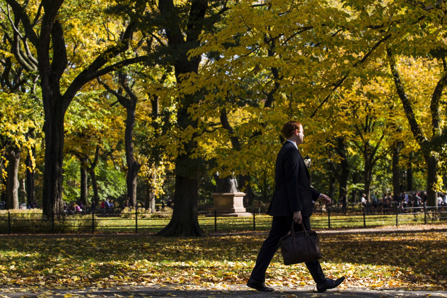A businessman walks inside Central Park as the colors of autumn become more prevalent in New York