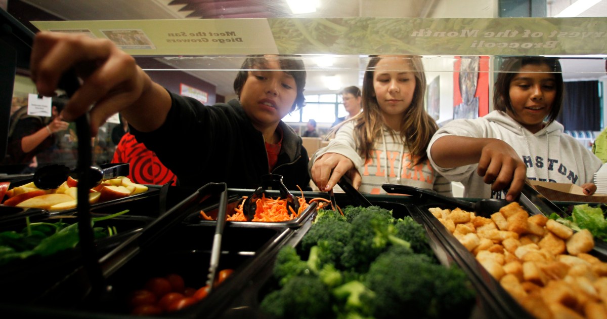How the quality of school lunch affects students’ academic performance