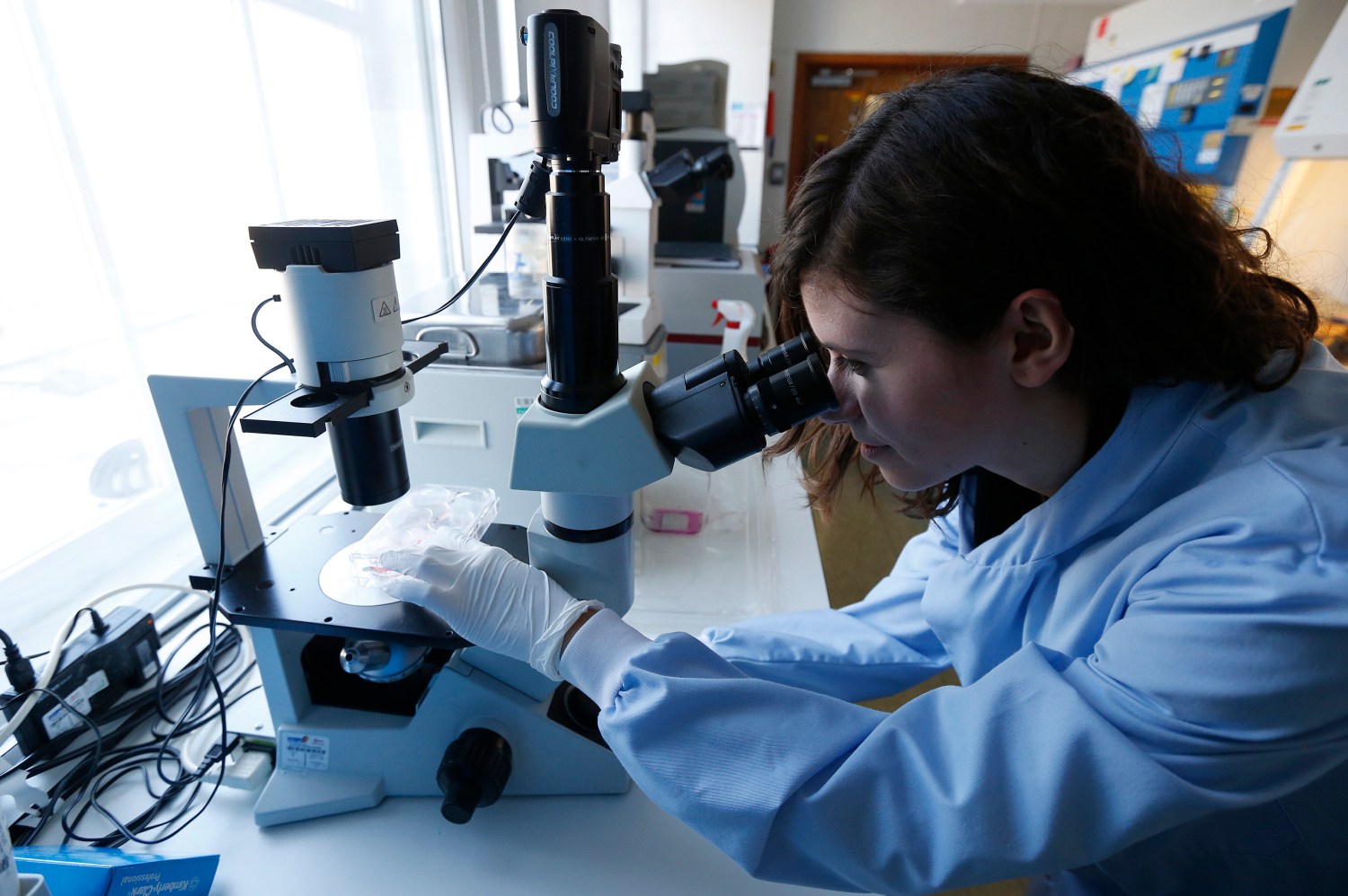 A woman studies cancer cells through a microscope