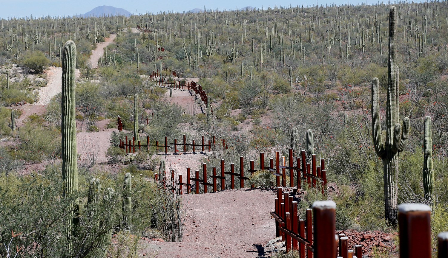 The vehicle barrier on the U.S.- Mexico border weaves around Saguaro cactus in the Sonoran desert