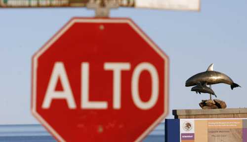 A California Gulf porpoise, also known as a vaquita, monument (R) is seen in San Felipe in Mexico's state of Baja California March 7, 2008, The vaquita, a tiny stubby-nosed porpoise found only in Mexico's Sea of Cortez, is on the brink of extinction as more die each year in fishing nets than are being born, biologists say. Picture taken March 7, 2008. REUTERS/Henry Romero(MEXICO) - RTR1YHEB