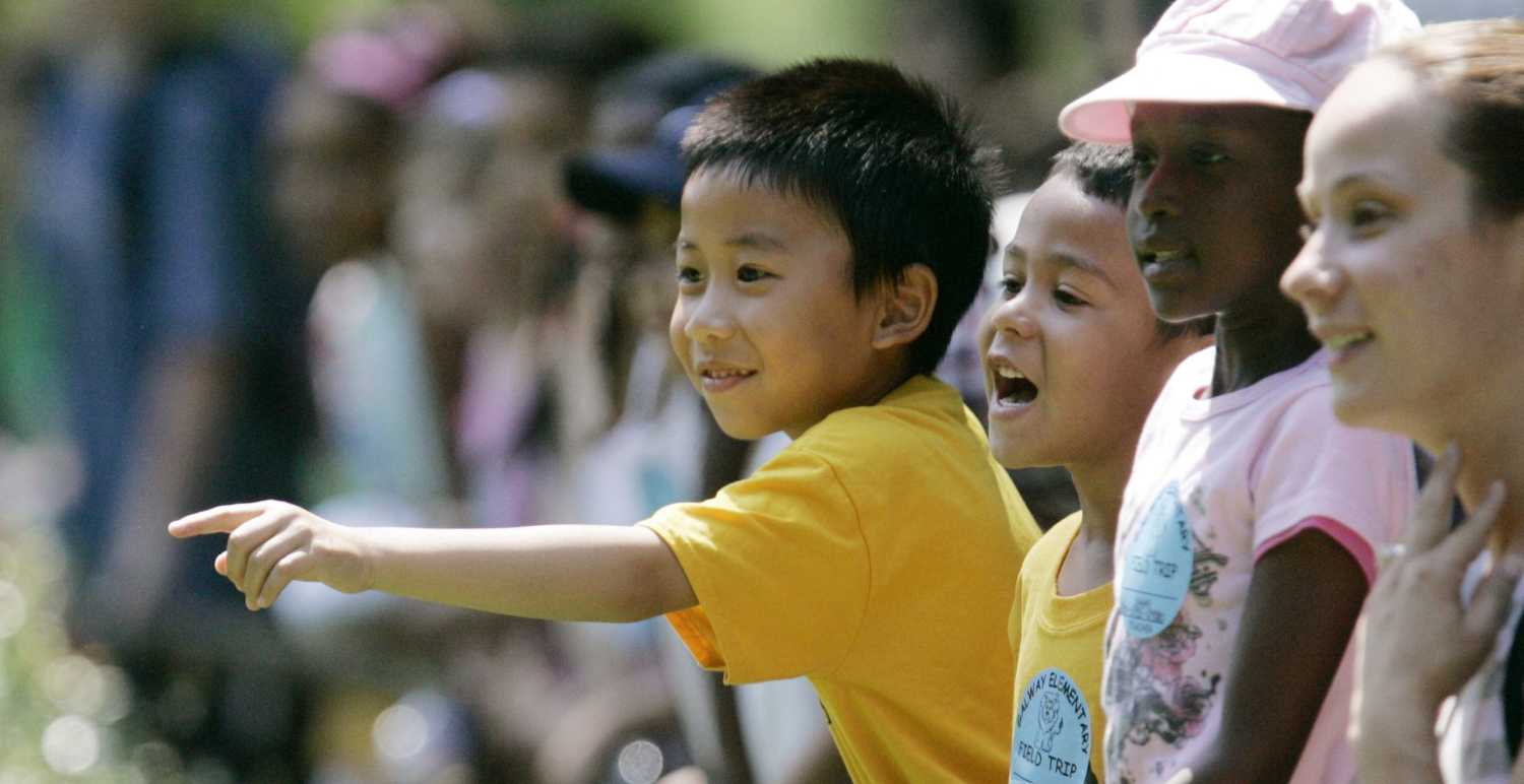 Elementary students react to the Smithsonian National Zoo's three newly acquired Cheetahs while seeing them for the first time at the zoo in Washington