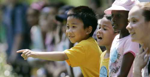 Elementary students react to the Smithsonian National Zoo's three newly acquired Cheetahs while seeing them for the first time at the zoo in Washington