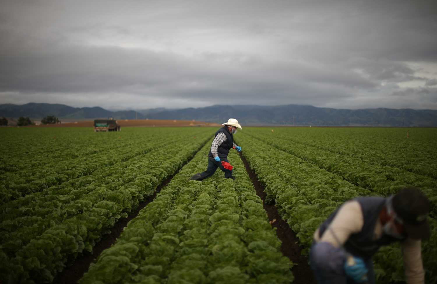 migrant farmworkers
