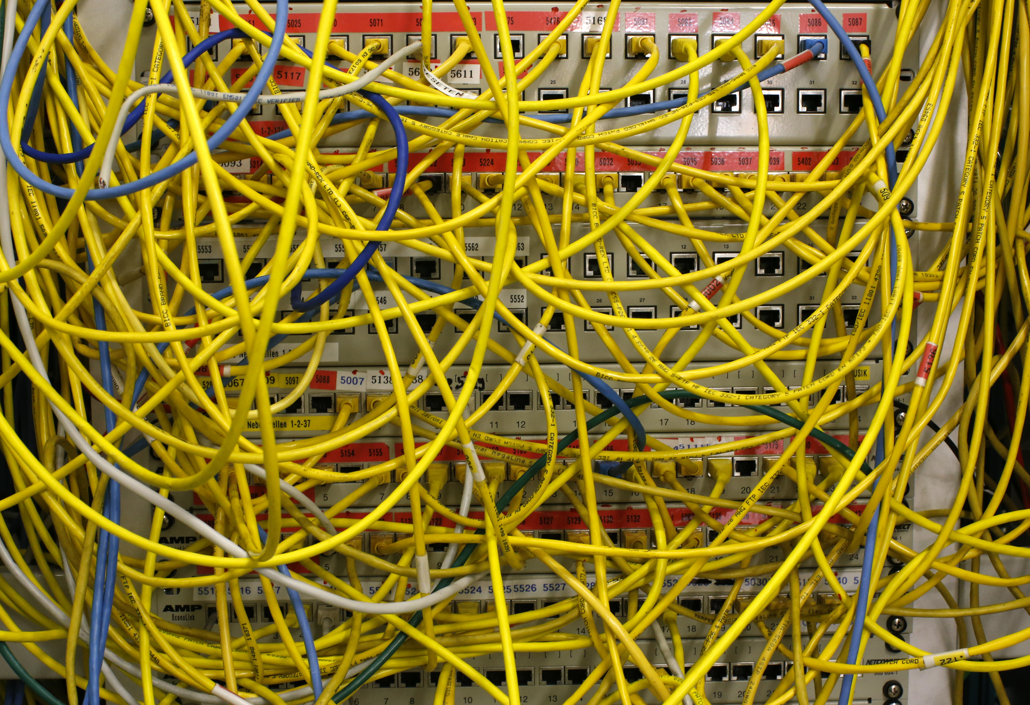 Ethernet cables used for internet connections are pictured in a Berlin office