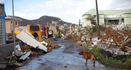 A dog stands in a street affected by Hurricane Irma in Cole Bay, Sint Maarten (Saint Martin) island, Netherlands, September 16, 2017. REUTERS/Andres Martinez Casares TPX IMAGES OF THE DAY - RC1CCAF9A8D0