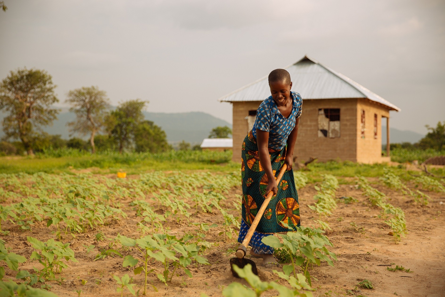 Addressing the mismatch between food and nutrition policies and needs ...
