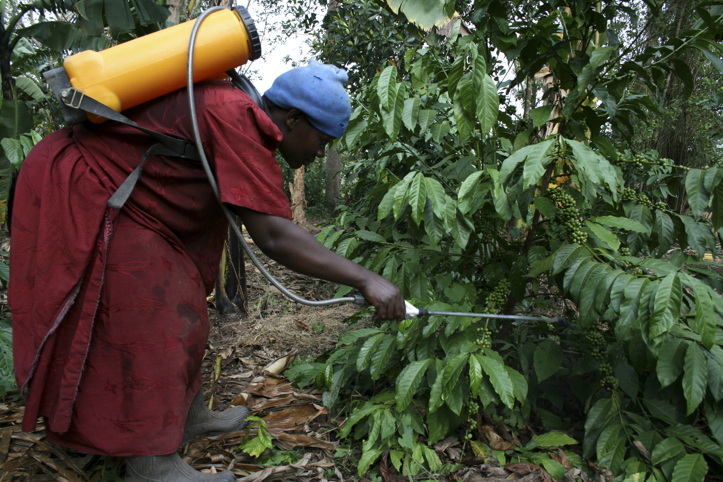 strategies-to-raise-agricultural-productivity-address-gender
