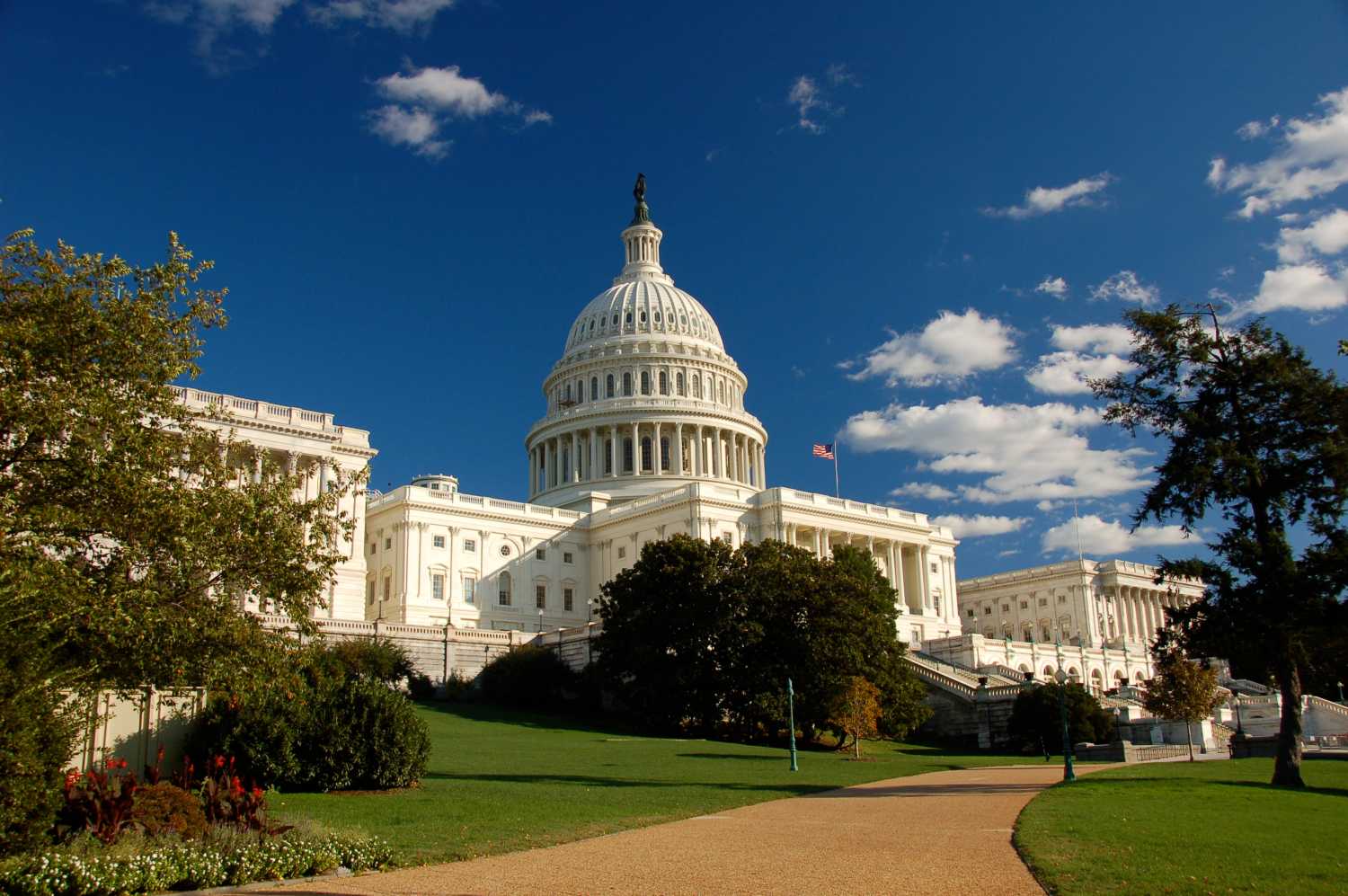 Flickr_Amanda_Walker